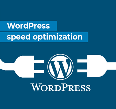 WordPress Speed Optimization