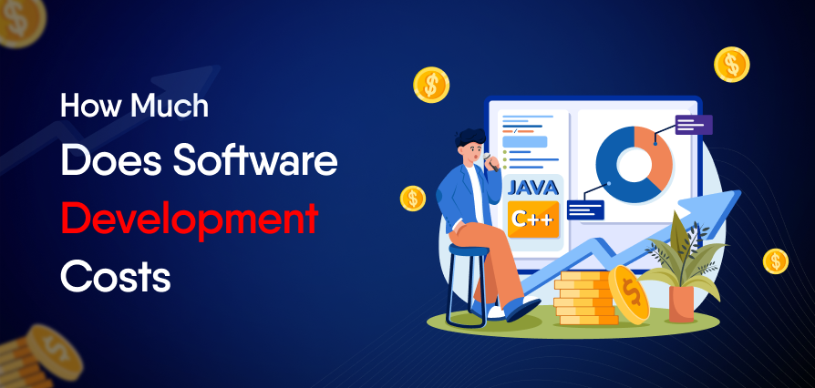 The software development cost