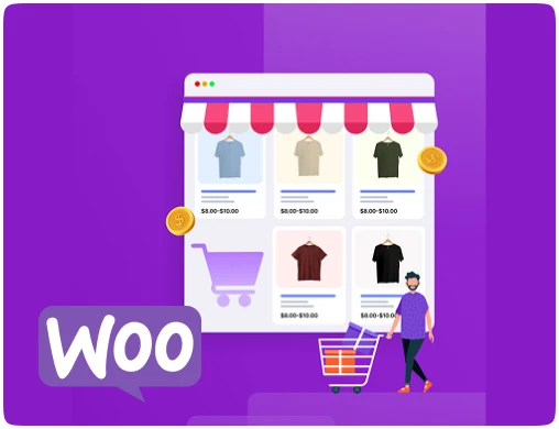 Transparent WooCommerce Plugin Cost