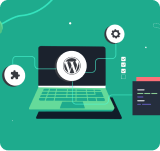 WordPress Plugin Development