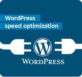 WordPress Security Services