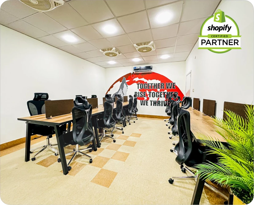 shopify partner